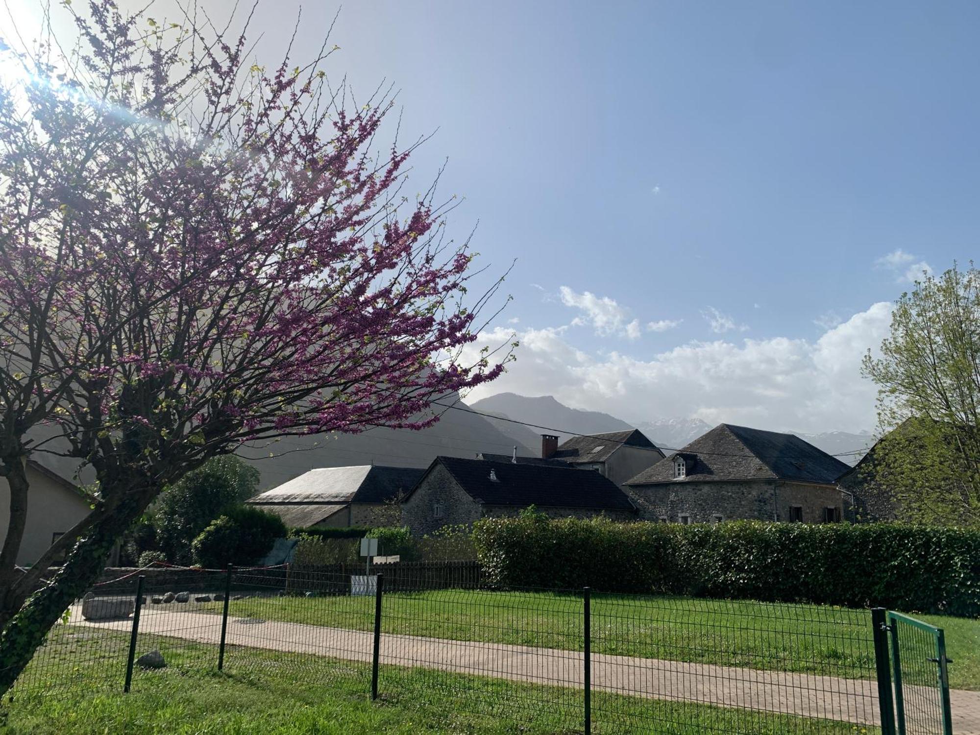 La Suite Unique - Le Jardin Sur Les Pyrenees- Vue Panoramique Montagne -Jardin Cloture Prive De 100M2-Parking-Linge De Lit Et Serviettes Compris- Bielle 外观 照片