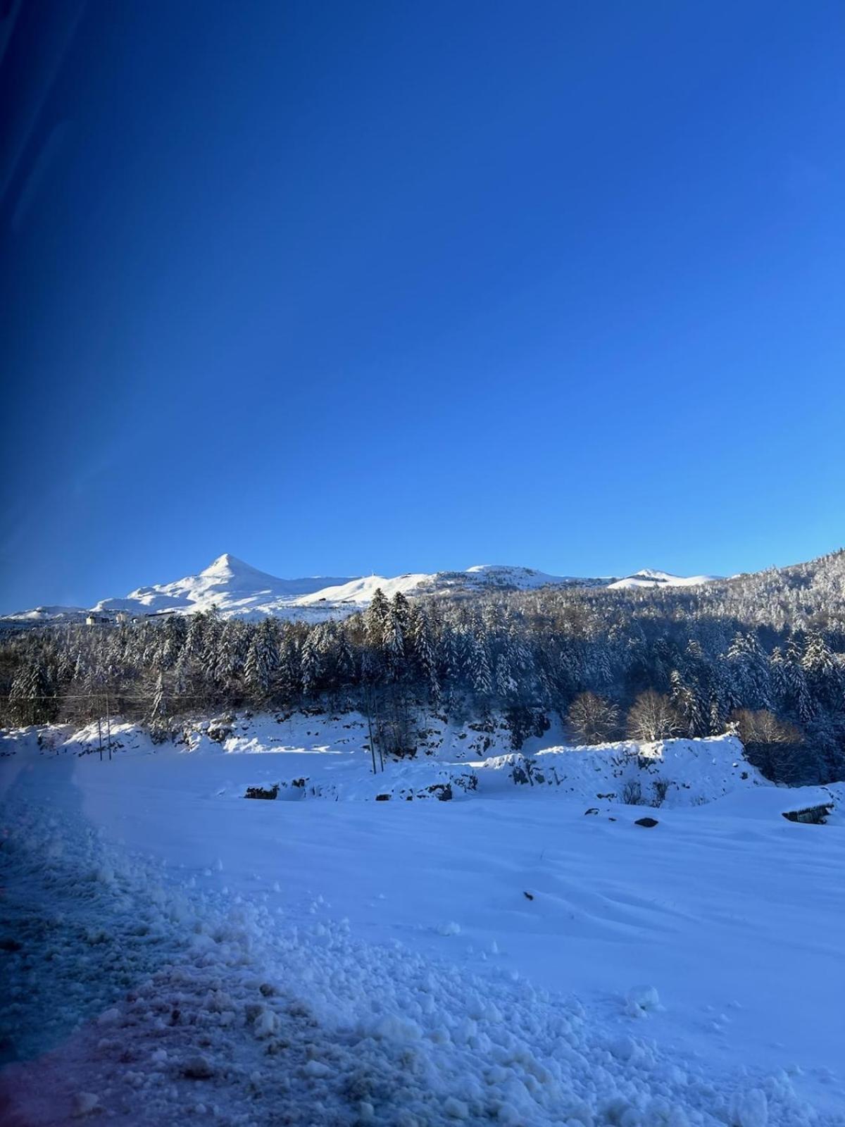 La Suite Unique - Le Jardin Sur Les Pyrenees- Vue Panoramique Montagne -Jardin Cloture Prive De 100M2-Parking-Linge De Lit Et Serviettes Compris- Bielle 外观 照片