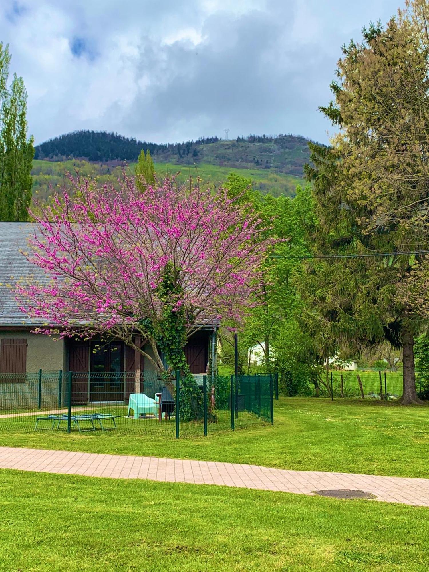 La Suite Unique - Le Jardin Sur Les Pyrenees- Vue Panoramique Montagne -Jardin Cloture Prive De 100M2-Parking-Linge De Lit Et Serviettes Compris- Bielle 外观 照片